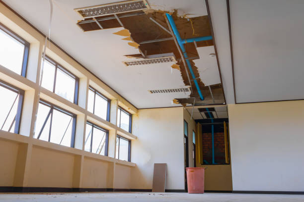 Best Ceiling water damage repair  in Sugar Creek, MO