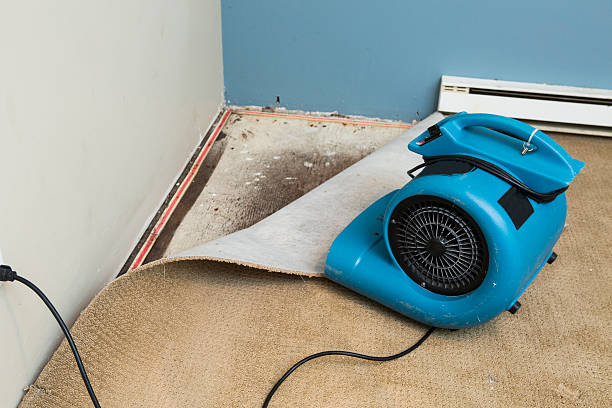 Best 24/7 water damage repair  in Sugar Creek, MO